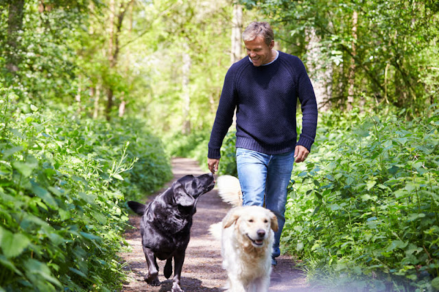 A man walks his two dogs outdoors. Positive reinforcement is a good alternative to negative reinforcement in dog training