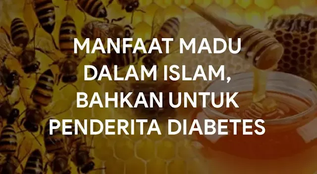 Manfaat Madu dalam Islam, Bahkan untuk Penderita Diabetes!