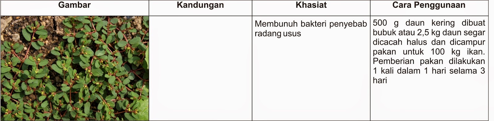 Obat Herbal Untuk Ikan perikanan dan kelautan