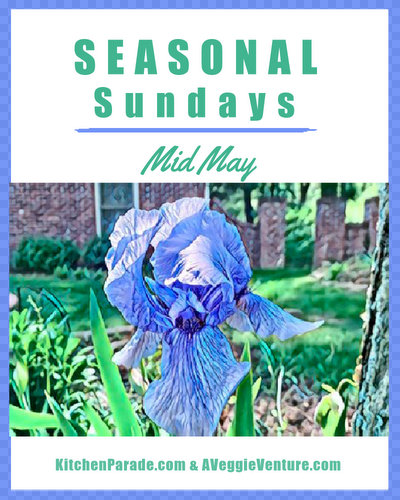 Seasonal Sundays ♥ KitchenParade.com, a seasonal collection of recipes and life ideas in and out of the kitchen.