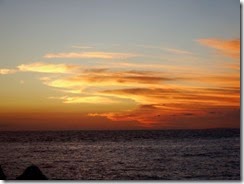 DSCF6601
