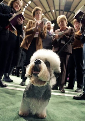 Westminster Kennel Club Dog Show