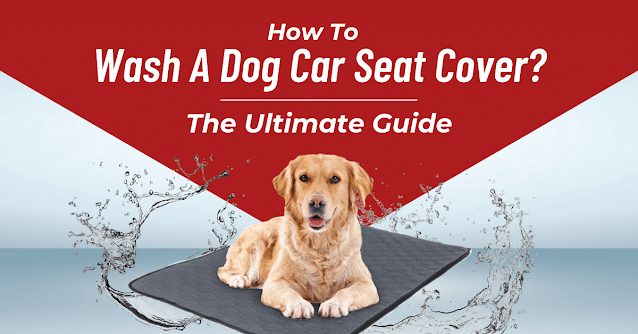 how-to-wash-a-dog-car-seat-cover