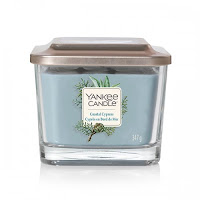 Yankee Candle Coastal Cypress