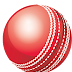 Kookaburra Cricket Ball