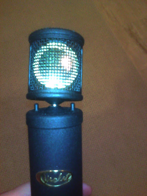 Blue Bird Mic