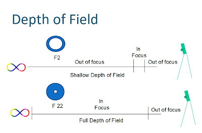 Graphic of Depth of Field comparing photographing at f/2 and f/22