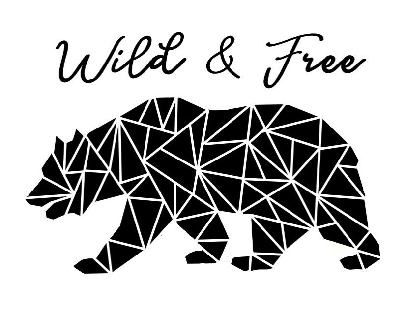 Download Geometric Animal Silhouettes With Kaleidoscope Htv The Kim Six Fix
