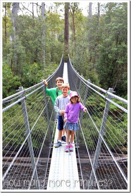 Tahune AirWalk ~ How Many More Minutes?