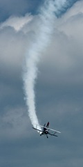 DSC_8463