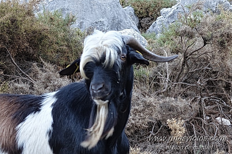 Crestería Ojo del Moro - Salto del Cabrero