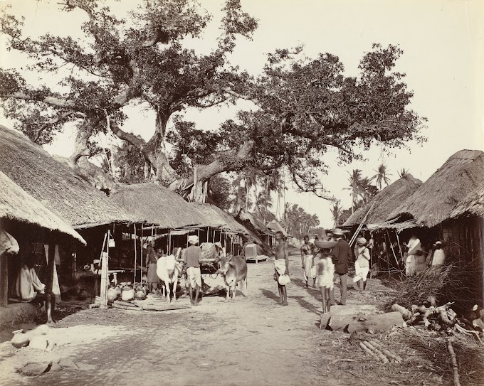 Street in Alipore, Kolkata (Calcutta), West Bengal, India | Rare & Old Vintage Photos (1870)