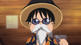 ワンピースアニメ | ドレスローザ編 ルフィ | ONE PIECE Dressrosa Arc