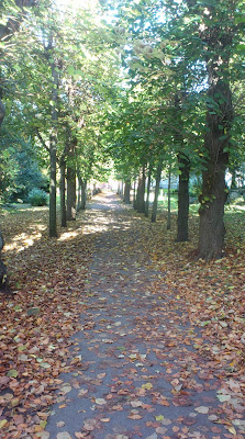 Churchill Gardens Salisbury in Autumn