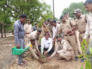 भानुप्रतापपुर में वन विभाग के द्वारा पर्यावरण दिवस गया मनाया, और लोगों से अधिक से अधिक पौधे लगाने की अपील भानुप्रतापपुर में वन विभाग के द्वारा पर्यावरण दिवस गया मनाया, और लोगों से अधिक से अधिक पौधे लगाने की अपील
