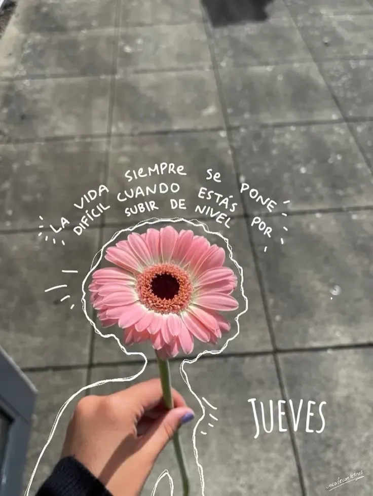 Frases de inspiración