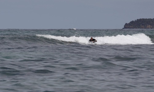 eric5