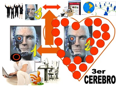 3CEREBROS