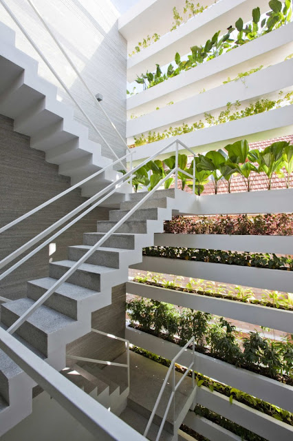 Photo of concrete staircase protected with the facade and vegetation