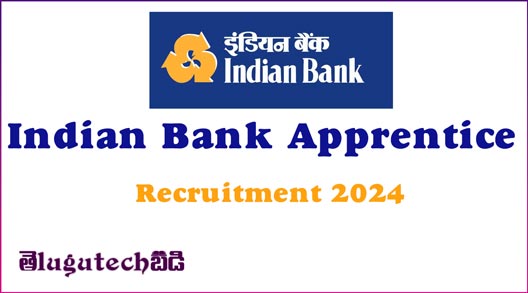 Indian Bank Apprentice Recruitment Indian Bank Apprentice Recruitment