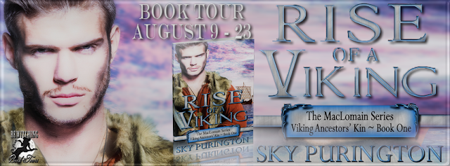 http://bewitchingbooktours.blogspot.co.uk/2016/07/now-scheduling-two-week-tour-for-rise.html