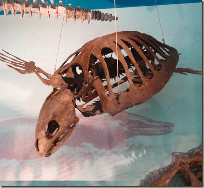 P8021545