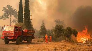 Four killed as wildfires sweep Turkey, villages evacuated Fires also burned large swathes of pine forest