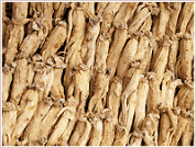 ginseng