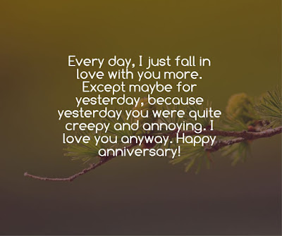 funny anniversary quote