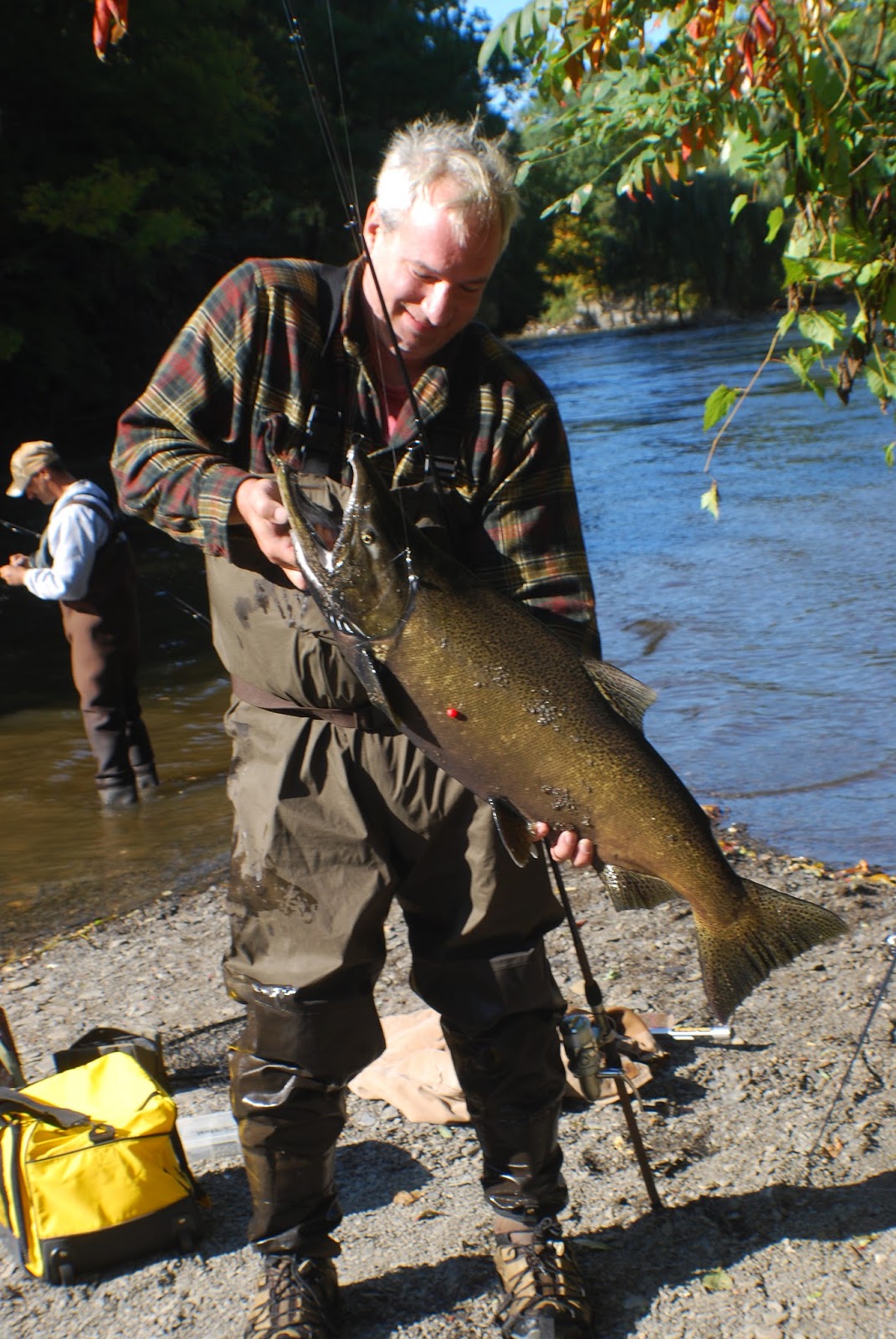Litton's Fishing Lines: Pulaski Salmon Surge: Salmon River Run Soon