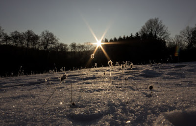 Napkelte fagyban, Börzsöny