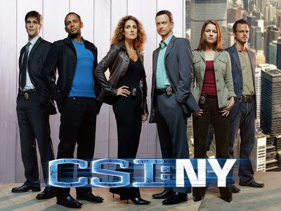 CSI New York Season 6 Episode 6