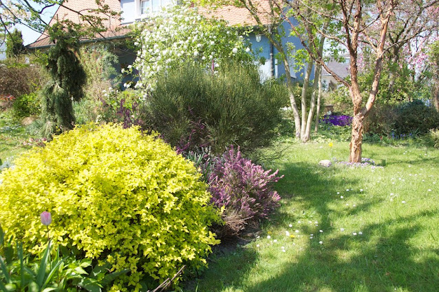 Jardin à l'anglaise,Jardin paysager,Jardin arboré,arbres, arbustes,