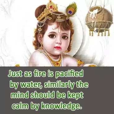 lord krishna photo