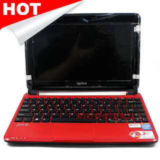 Spesifikasi Notebook Axioo Pico W217CU CJM