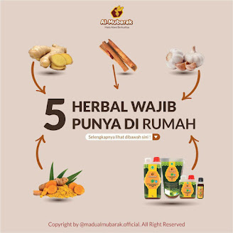 5 Herbal Wajib Punya Dirumah