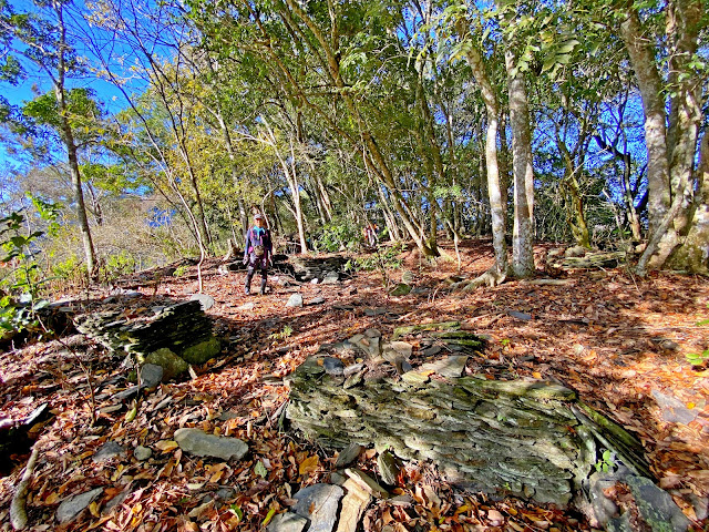 三岔路稜線石板屋遺址