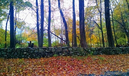 8. 10-16-14 New England stonewall