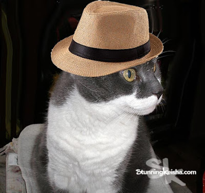 Virtual Straw Fedora Feral Friday