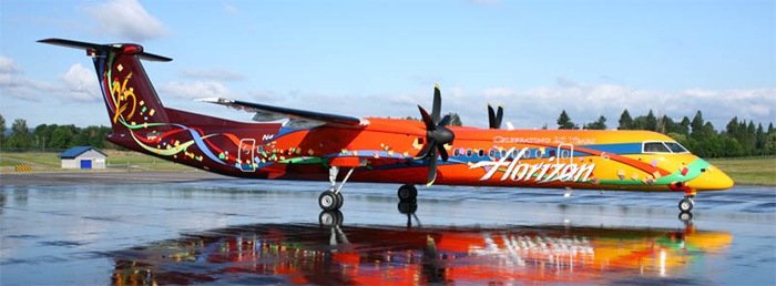 picture_on_plane_28