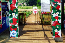 Harga Tiket Masuk Strawberry Highland Pujon Malang Atau Taman Stroberi