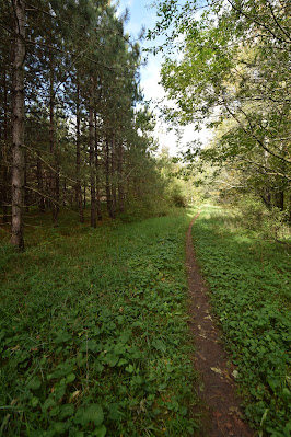 Bruce Trail Hiking Ontario Canada.