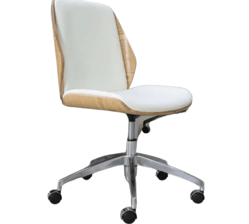 KRUZO MNGR Executive Ergonomic Office Chair