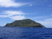 The island is covered in a forest of just four tree species: (pitcairn island)