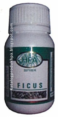 Katalog Produk HPA: Ficus (Herba Buasir)