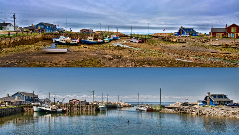 bay-of-fundy-8