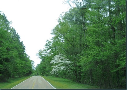 Natchez Trace