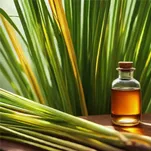 Ginger Grass Oil