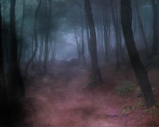 Тропинка в туманном лесу.