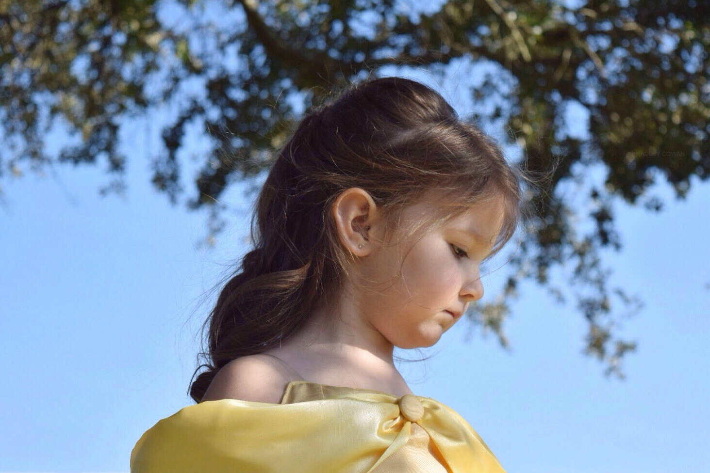 Buy Belle Dress Princess Belle Tutu Dress Belle Costume Beauty and the  Beast Online in India - Etsy | Belle dress, Belle tutu, Belle costume